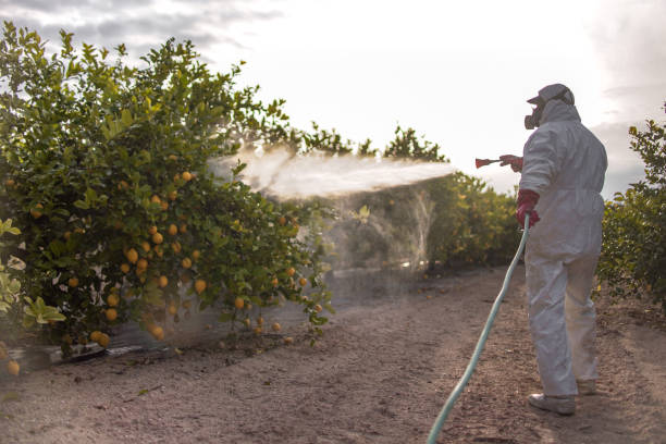 One Loudoun, VA Pest Control Company